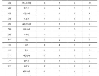 대회 국가별 종합 순위